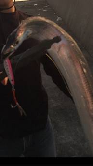 めっちゃ悔しい