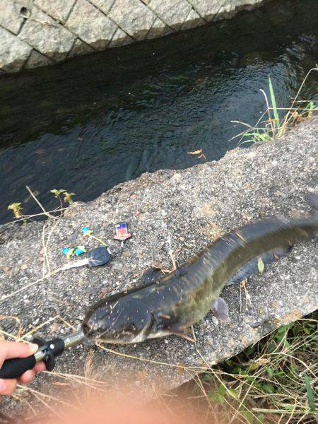 まだまだトップ