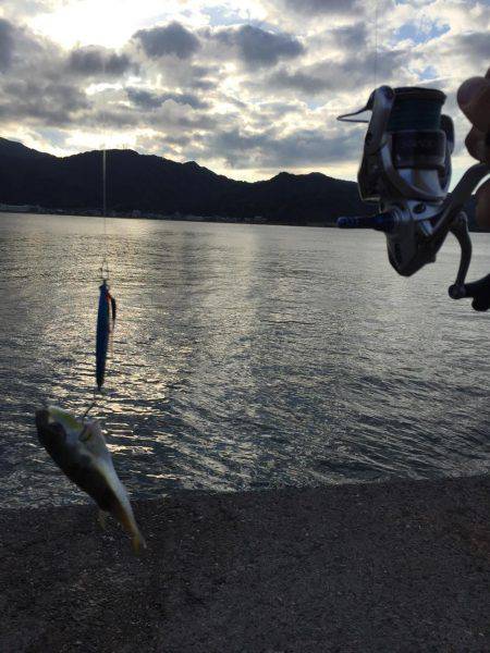 5目釣り@日本海