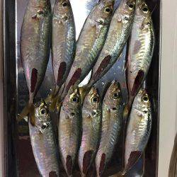 初めての魚釣り