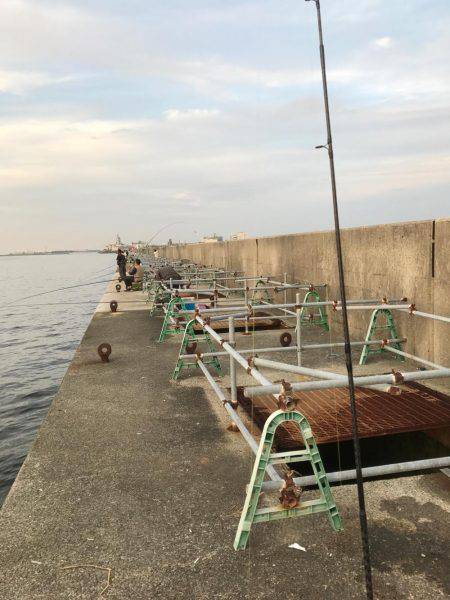 調子乗ってアジング