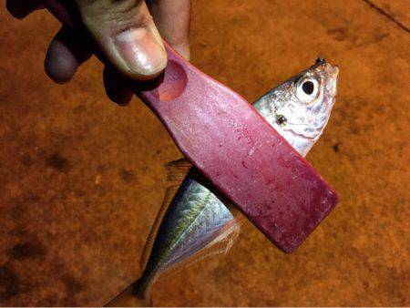 練習練習、ランガンアジング