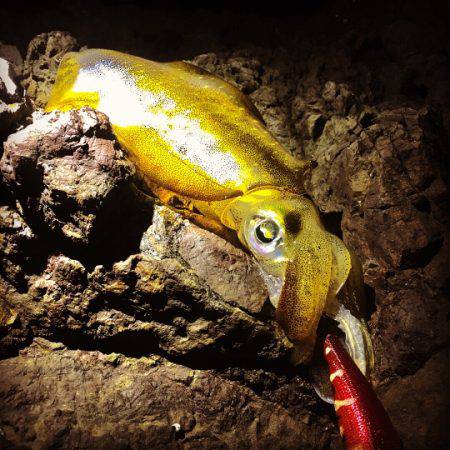 リベンジ果たせず…