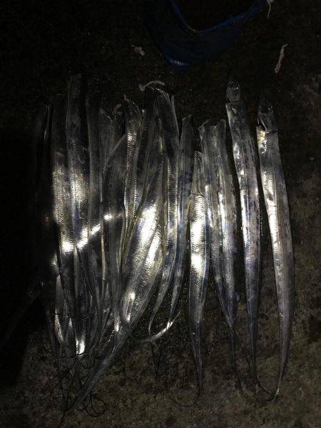 タチウオ釣り。