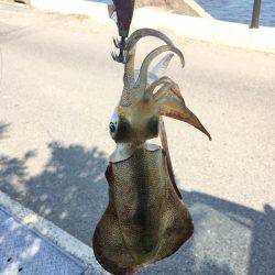 最高の釣り日和!!