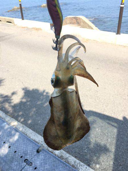 最高の釣り日和!!