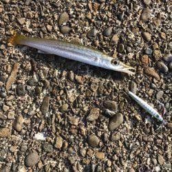 デイのライトゲーム