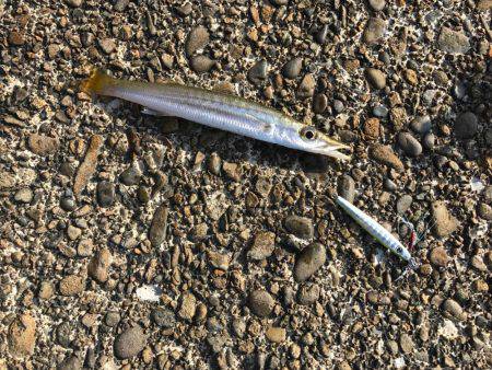 デイのライトゲーム