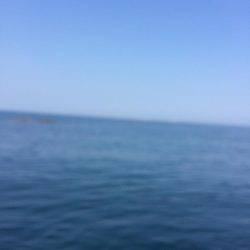 今年最後の釣り (スケジュールが良く行けた。)