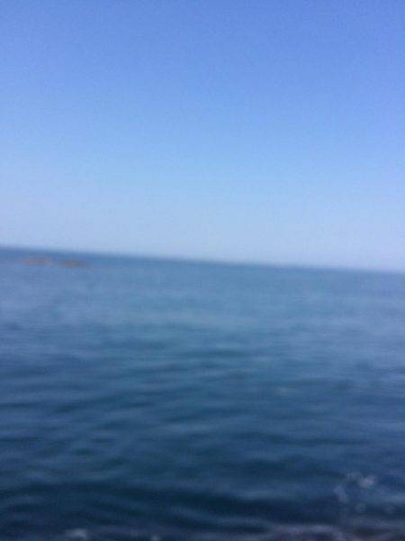 今年最後の釣り (スケジュールが良く行けた。)