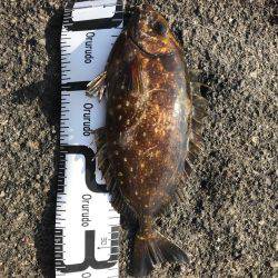 うねり高くて洗濯機