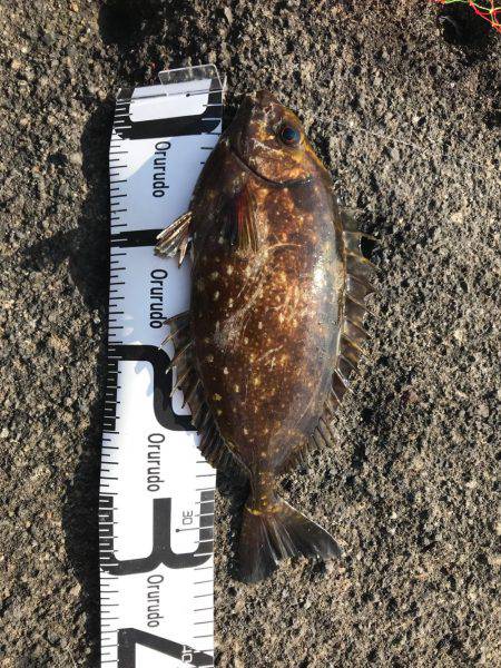 うねり高くて洗濯機