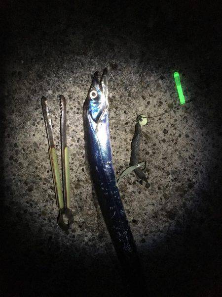 もうちょっと釣りたかったな