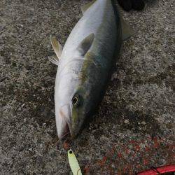 朝まづめショアジギング