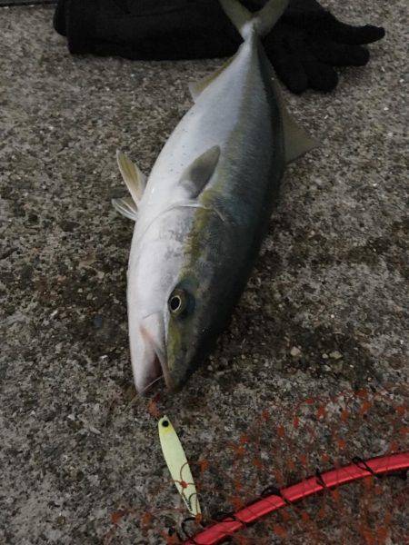 朝まづめショアジギング