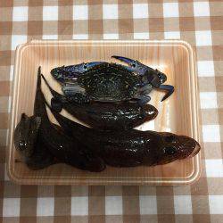 ロックフィッシュ