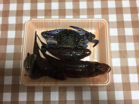 ロックフィッシュ