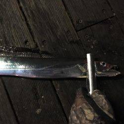 大阪奥湾ワインド ワインドチェイス