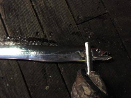 大阪奥湾ワインド ワインドチェイス