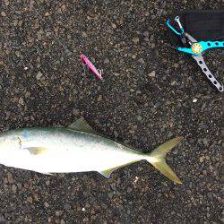 ショアジギング