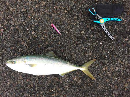 ショアジギング