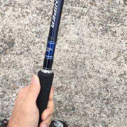 久しぶりのサゴシ