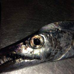 暴風と寒さの戦いの末…