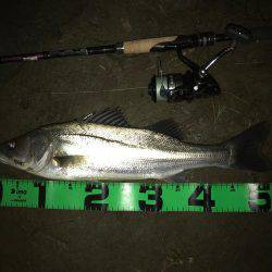 落ち鮎パターン