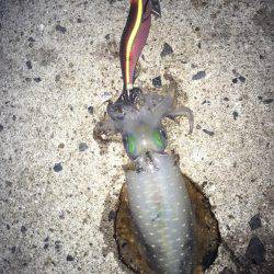 癒されに行ったはずが!