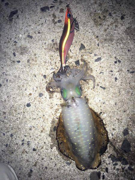 癒されに行ったはずが!