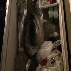 タチウオ今ひとつ