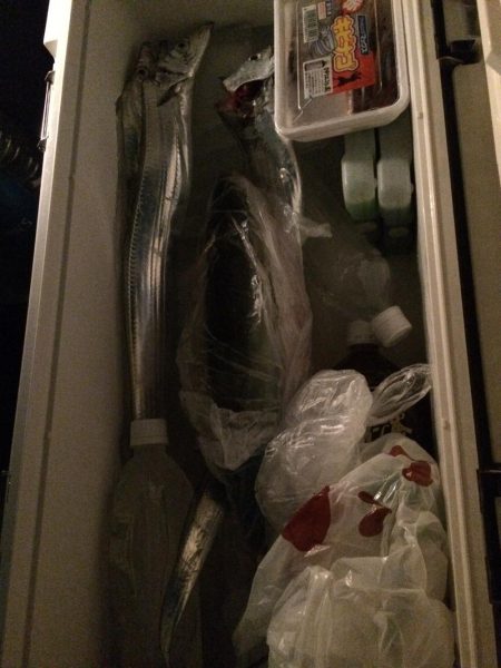 タチウオ今ひとつ