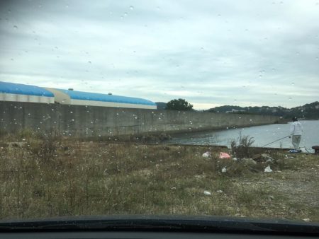 アジ狙いだったのに