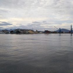 ハゼしか釣れない…