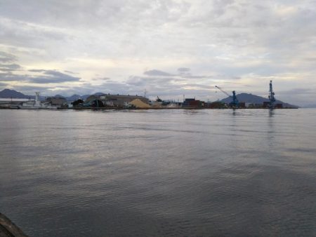 ハゼしか釣れない…