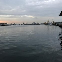 ニューロッド鯵付け！