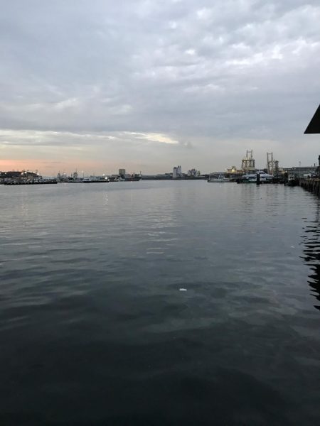 ニューロッド鯵付け！