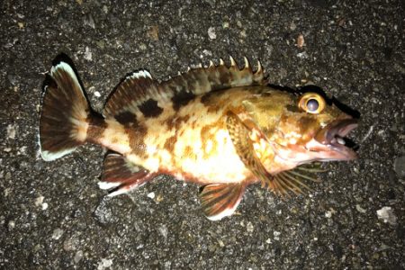 苦手ポイントで納得の釣果