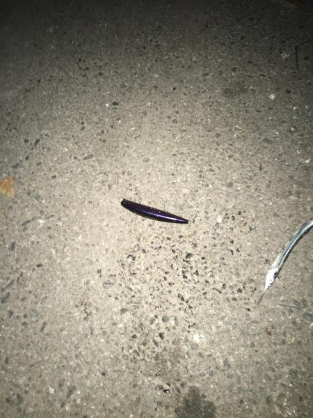 サヨリパターン