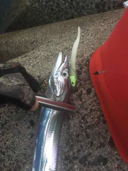 夕まずめワインド