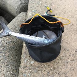 1ヒット1キャッチ 少ないチャンスを