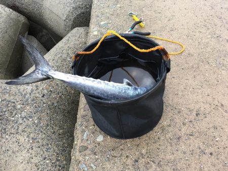 1ヒット1キャッチ 少ないチャンスを