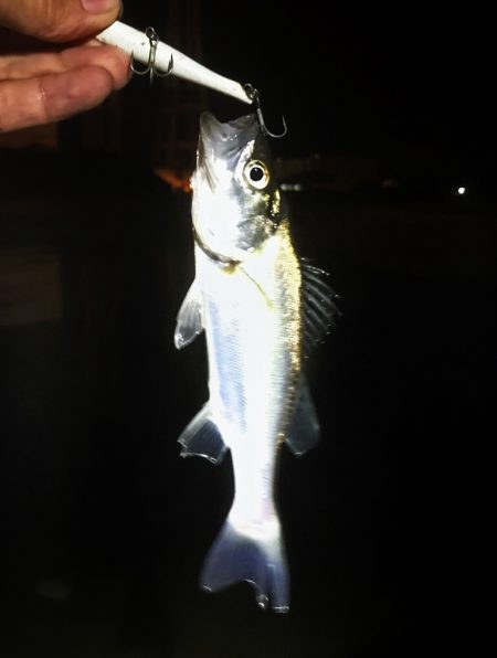 ナイトウェーディング