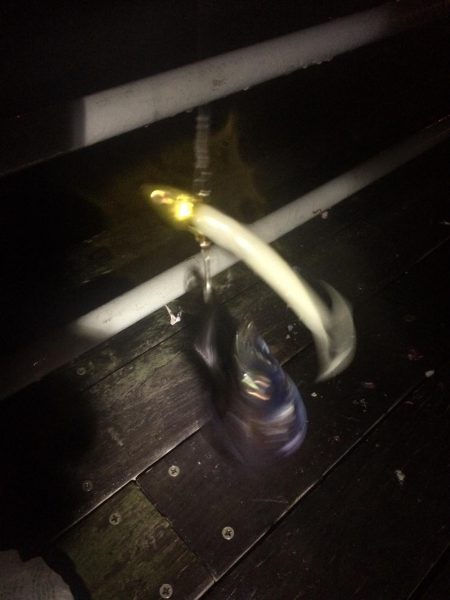 サイズアップを期待