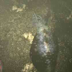 雨予報でも降らないよね