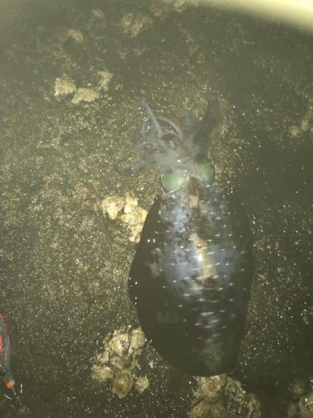 雨予報でも降らないよね