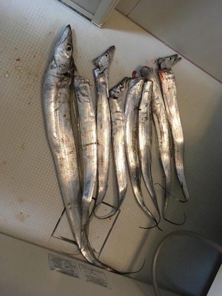 やっと今年初のドラゴン