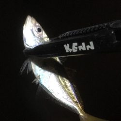 土砂降りでしたが楽しめました。