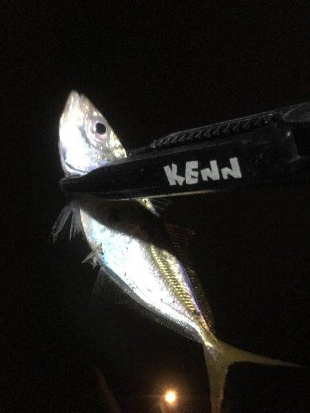 土砂降りでしたが楽しめました。