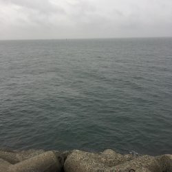 ショアジギング